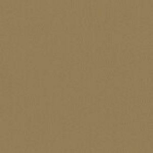 Inca 06 Swatch image for Inca 06